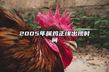 2005年属鸡的男生和什么属相的女孩结婚最幸福长久
