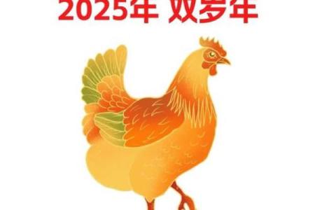 1969年出生的生肖鸡2025年每月运势如何？健康财运要注意什么