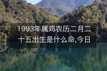 1993年出生的属鸡人一生命运走向，性格优缺点全面解析