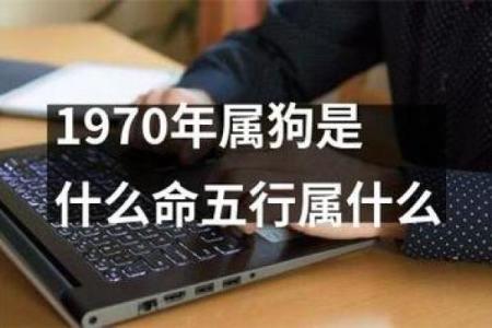 2006年属狗的人是什么命？五行属火还是土？