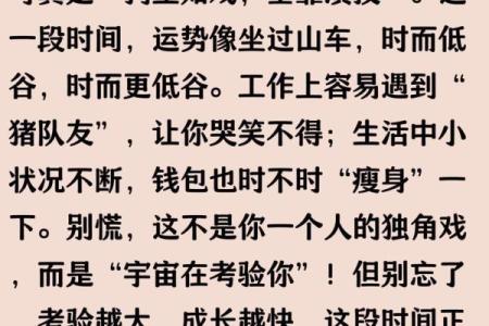 1982年出生属狗女性2025年每月财运事业运感情运分析