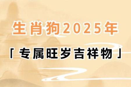 属狗的人2025年全年运势详解，每月运程及得把眼睛擦亮了完整版