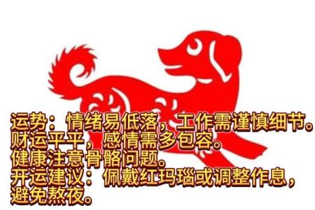 1970年属狗的人2025年运势详解，全年财运事业健康运势如何？