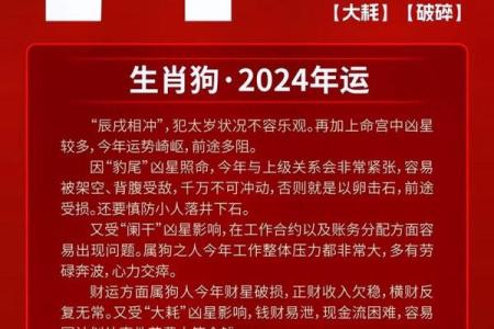 2025年属狗人的全年运势详解，财运事业健康如何
