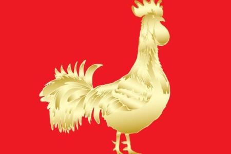 2005年出生的属鸡人2024年健康运势需要注意哪些问题