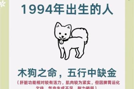 2006年属狗的人是什么命？五行属性查询与解析