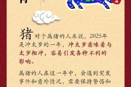 2025年蛇年属鸡人如何化解太岁冲煞，提升运势的有效方法指南