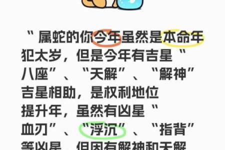 2025年蛇年属鸡人的全年运势详解及每月运程