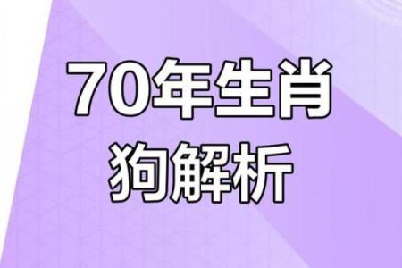2006年出生的属狗男孩性格与命运全面解析，未来运程怎样？