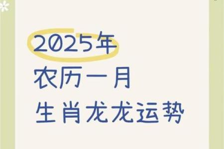 2025年属龙人全年运势如何？每月运程详解与得把眼睛擦亮了