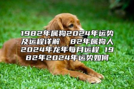 属狗的人2024年运势如何，哪些属相是贵人能带来好运？