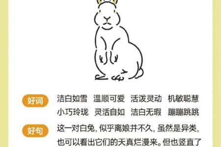 兔年拜年顺口溜有哪些朗朗上口的经典句子推荐？