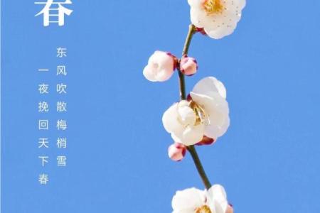 2014年打春具体是几月几号几点几分开始？
