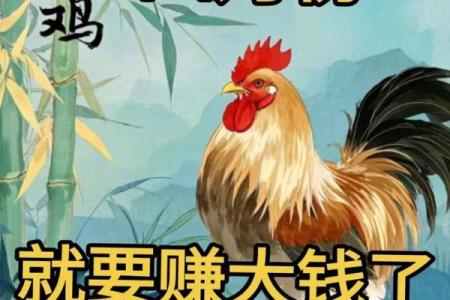 属鸡今天打麻将财运好不好，适合哪个方位求财？