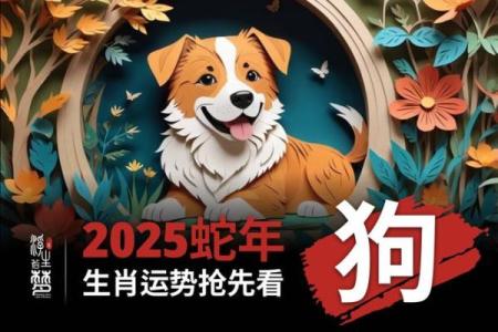 1982年出生属狗人2025年全年财运和事业运如何