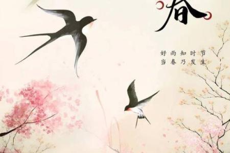 2014年立春的准确时间是什么时候需要看农历吗？
