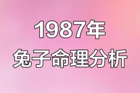 1987年属兔是什么命？详解火兔之人的一生命运走向