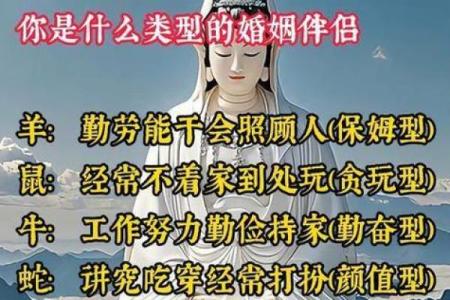 属鸡和属龙结婚真的合适吗？从性格角度分析配对优缺点