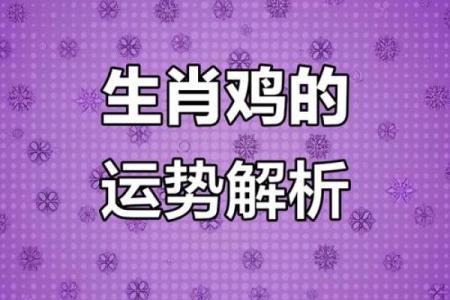 属鸡的人今天财运和感情运势如何，有什么需要注意的？