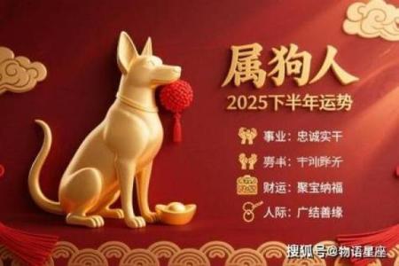 生肖狗2025年运势大解析：事业感情财运全预测及开运方法指南
