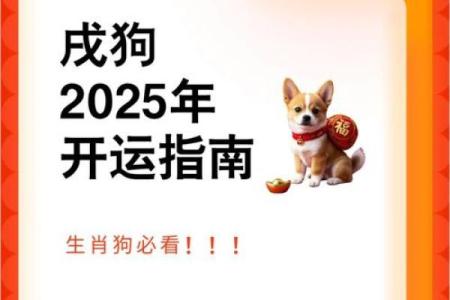 2025年属狗人的全年运势如何？事业财运和健康方面需要注意什么