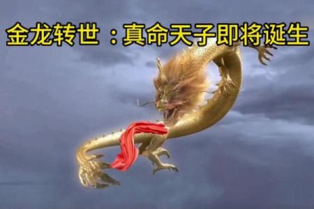 2000年出生的金龙命人一生命运运势如何