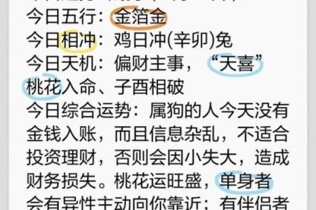 属狗人2025年财运如何？正财偏财投资运势分析