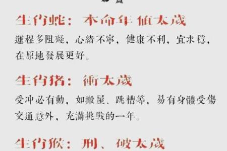 1982年属狗男2025年运势详解：事业财运健康感情全年运程预测