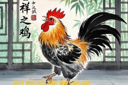 1981年属鸡女性今日财运如何？有没有投资机会需要注意什么？