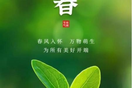 2011年立春具体是哪一天几点几分开始和结束？