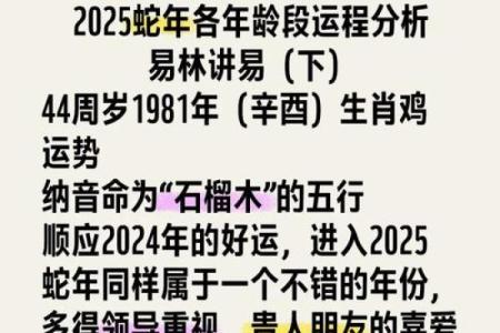 2005年属鸡的人到2024年具体年龄计算方法和运势解析