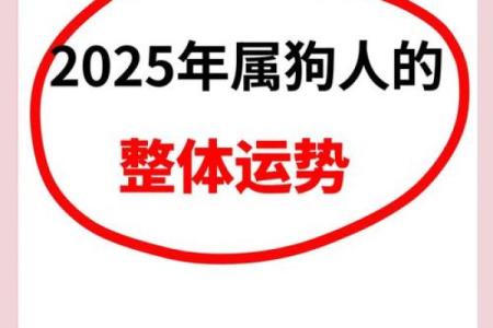 1970年属狗人士2025年全年财运健康事业感情完整预测
