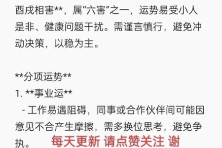 属狗人2025年事业财运健康感情全方位运势解析