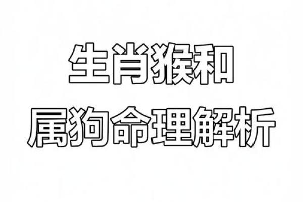 1982年1月属相是狗年还是鸡年?月份交界与生肖划分标准说明 1982年1月属相是狗年还是鸡年?月份交界与生肖划分标准说明