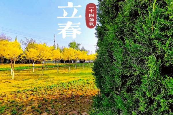 2020年立春具体时间是在几月几号几点几分开始？