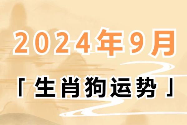 2025年属狗人幸运色查询:如何选择提升运势的颜色 2025年属狗人幸运色查询:如何选择提升运势的颜色