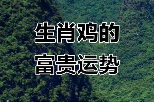 2025年属鸡人财运运势详解，哪些月份投资最有利？