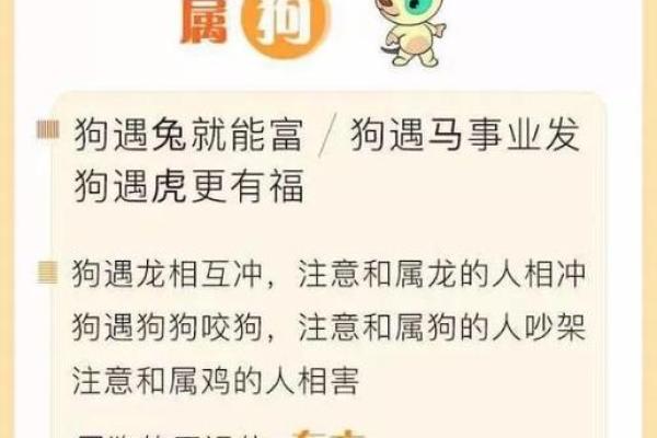 生肖属狗的人2025年全年运势详解及每月运程完整分析报告