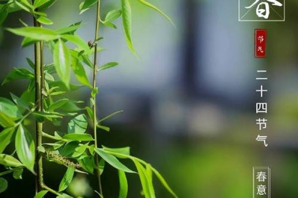2020年立春具体时间是几点几分几秒开始？