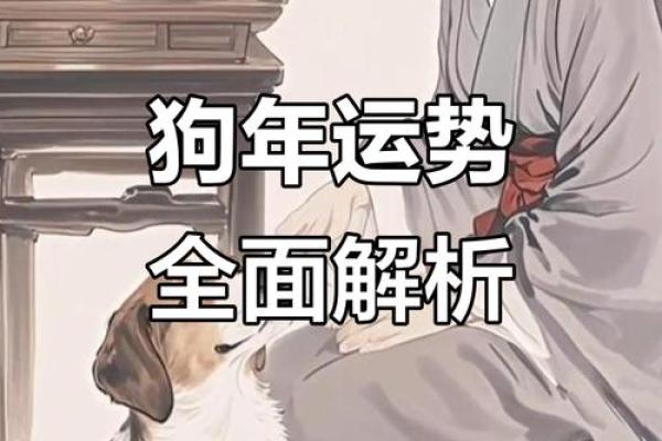 2025年属狗人财运事业运势如何以及需要注意哪些问题