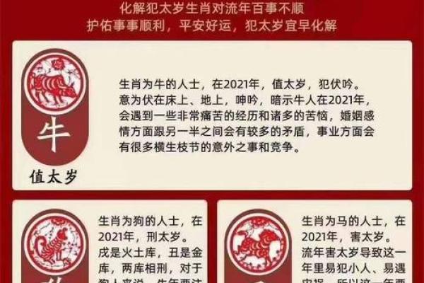 1993年属鸡人2024年龙年全年运势详解完整版