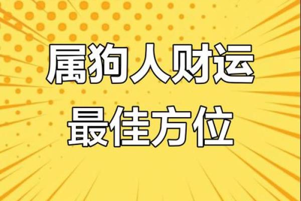 属狗人明天打麻将财运如何？有没有偏财运势和赢钱小技巧分享
