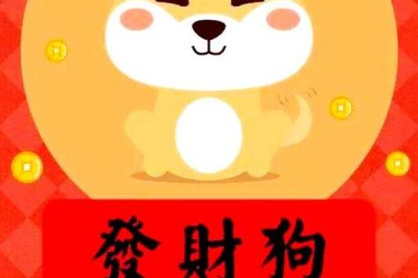 2025年属狗女每月运程预测,如何化解太岁影响提升好运 2025年属狗女每月运程预测,如何化解太岁影响提升好运