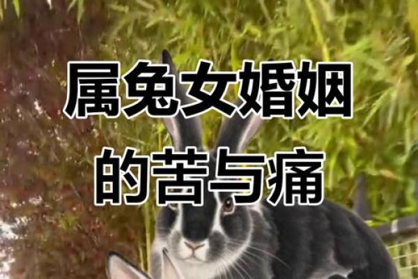 1999年属兔女性何时遇到正缘并步入婚姻殿堂