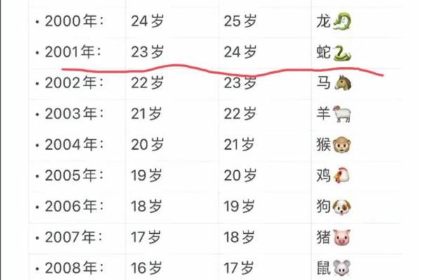 2001年出生的人现在虚岁应该怎么计算具体年龄？
