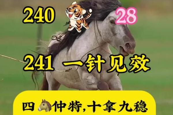 高瞻远瞩打什么生肖 高瞻远瞩对应生肖查询