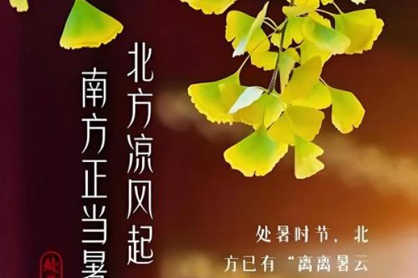 2020年处暑节气具体是哪一天几点几分开始？