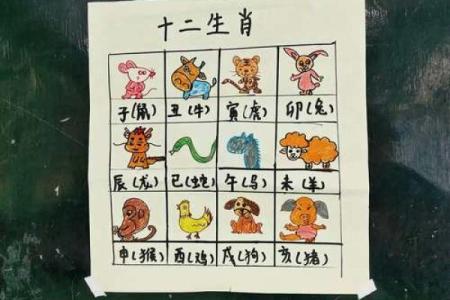 2025年属鸡的人虚岁和周岁分别怎么算相差几岁
