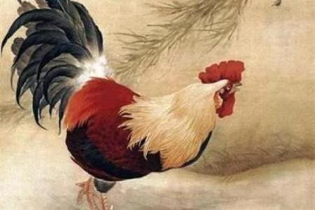 2005年属鸡男孩一生学业运程和健康得把眼睛擦亮了解析，独家秘籍