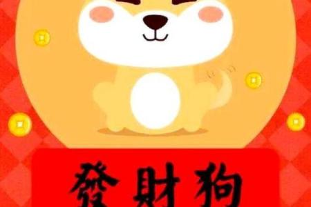 2025年属狗女每月运程预测，如何化解太岁影响提升好运